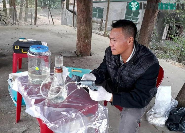 Tìm thấy thêm một cá thể rùa Hoàn Kiếm ngoài tự nhiên ảnh 1
