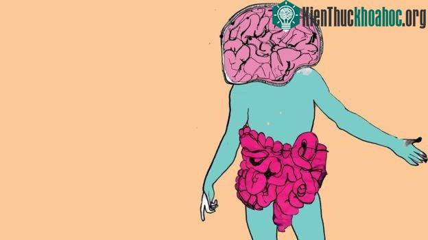 Các gene của bộ vi sinh vật của chúng ta hiện nay được cho là bộ gene thứ hai.