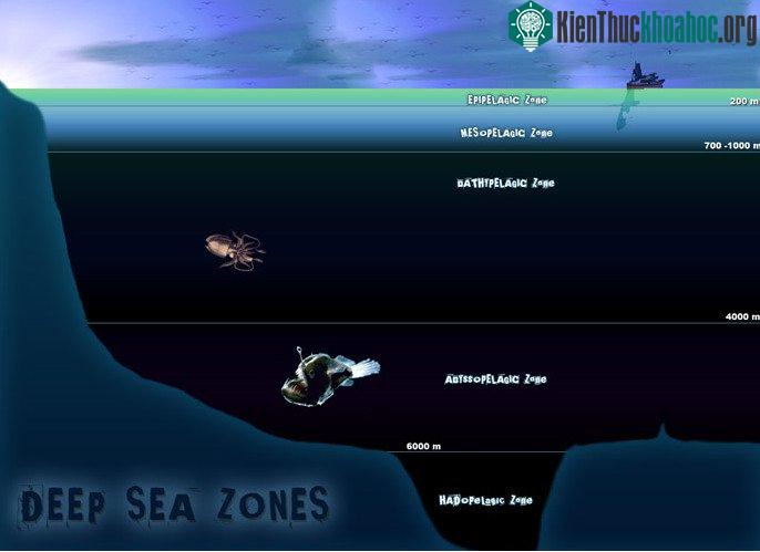 Đại dương luôn là thế giới thách thức sự khám phá của loài người. (Ảnh: Internet).
