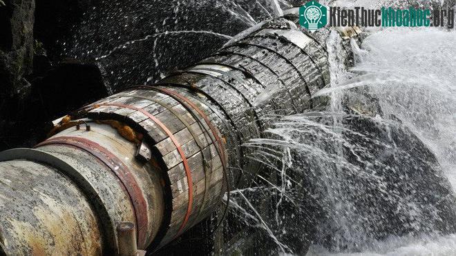 Các data lộ ra hoàn toàn có giá trị.