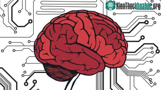 Chúng ta có thể upload não bộ lên một hệ thống máy tính hay không?