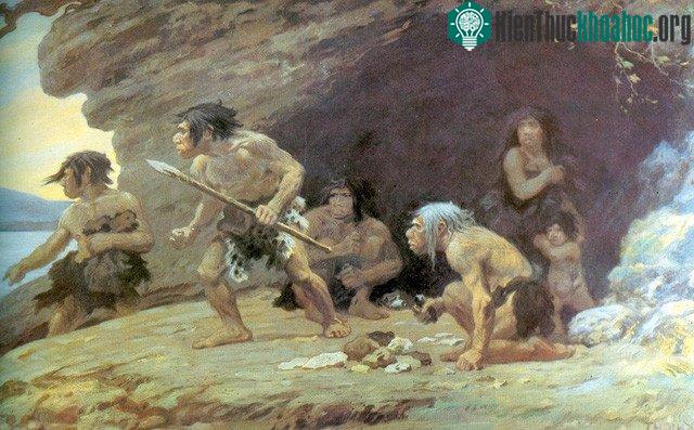 Cơ thể chúng ta có những thích nghi sinh lý để ăn và tiêu hóa thịt.