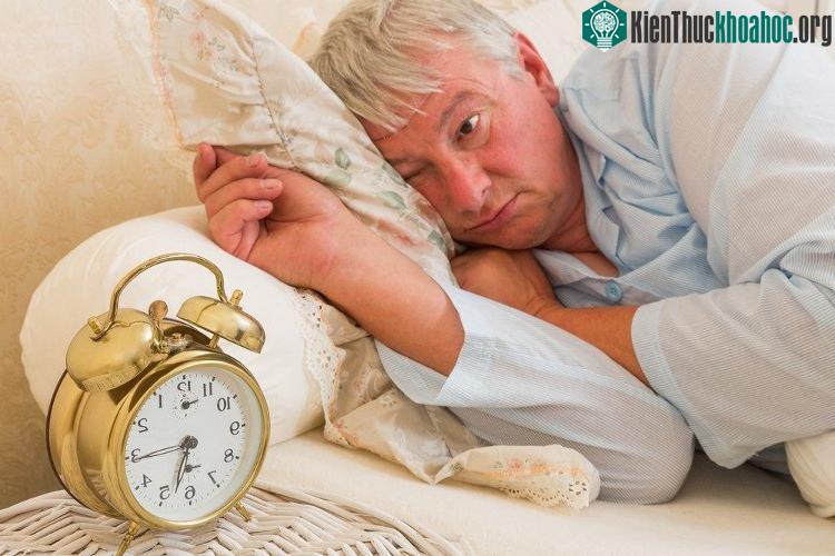 Bộ não đang làm gì khi chúng ta mơ? ảnh 1