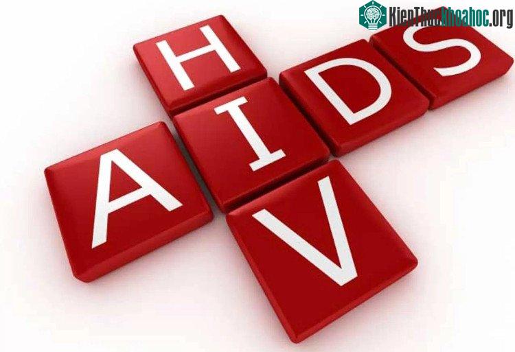 Có thể chế tạo vắc-xin chống HIV từ tế bào B im lặng. (Ảnh: Vtv.vn).