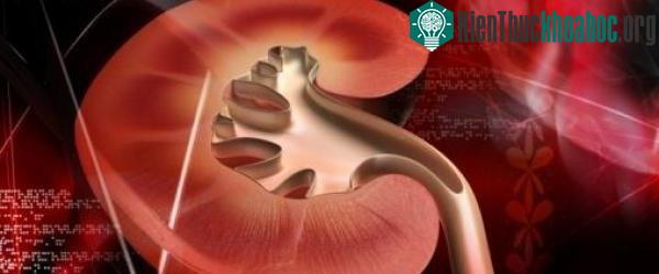 Phải đến khi cơn đau trở nên rõ rệt ở tư thế đứng, các bác sĩ mới có thể nghĩ tới chẩn đoán rất “dị” này.