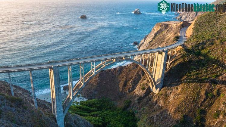Livestream này còn cho ta những cái nhìn sâu hơn về Vịnh Monterey.