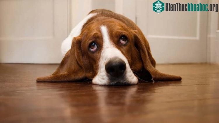 Mùa mưa bão lại tới rồi huhu.