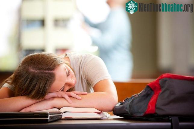 Nhóm được cho ngủ vào ban ngày sẽ dễ dàng bị mắc lừa bởi các từ khóa nhiễu.