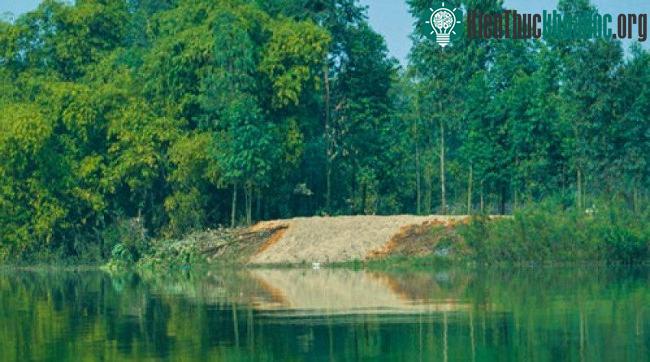 Bãi cát nhân tạo nơi rùa thường xuất hiện ở Đồng Mô. (Ảnh: ATP).