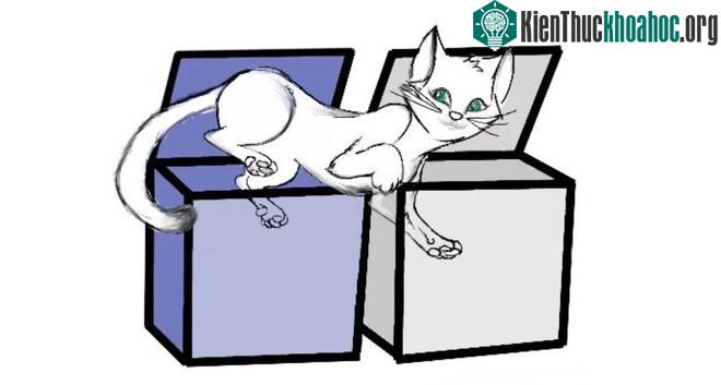 Lý thuyết về con mèo của Schrodinger