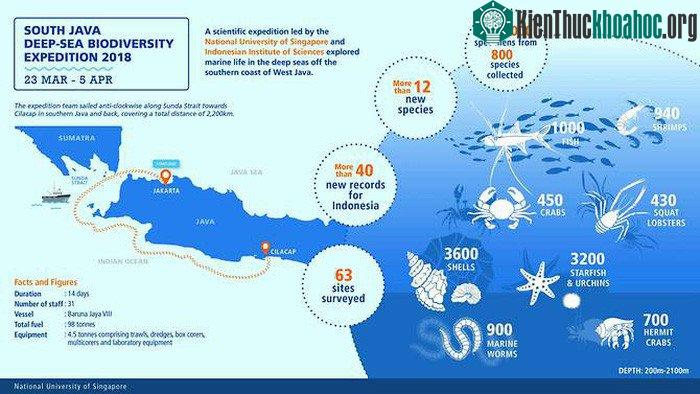Các nhà thám hiểm khởi hành từ Jakarta, qua eo biển Sunda và cập cảng Cilacap ở phía Nam của tỉnh Tây Java, Indonesia - (Ảnh: SJADES 2018).