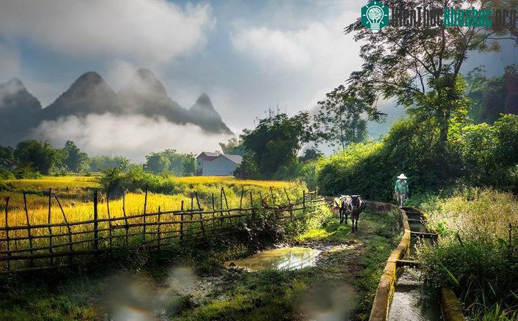 Mương dẫn nước từ dòng Quây Sơn về những cánh đồng xã Ngọc Côn, Ngọc Khê, Phong Nậm.