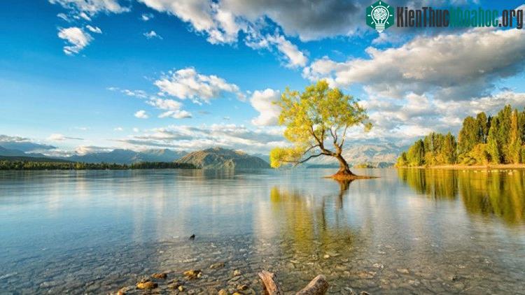 Hồ Wanaka