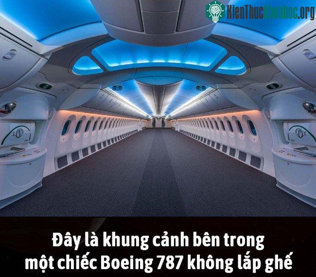 Tổng hợp những sự thật thú vị có thể bạn chưa biết! ảnh 13