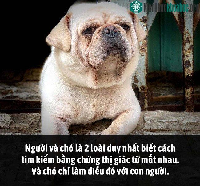 Tổng hợp những sự thật thú vị có thể bạn chưa biết! ảnh 14