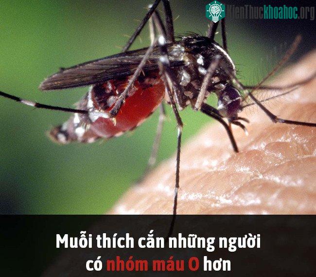 Tổng hợp những sự thật thú vị có thể bạn chưa biết! ảnh 16