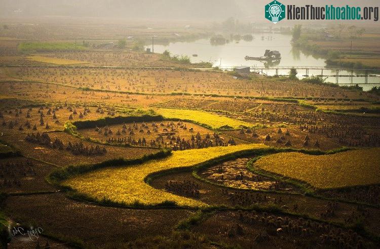 Khí hậu ở Trùng Khánh khá lạnh về mùa Đông nhưng rất mát về mùa Hè.