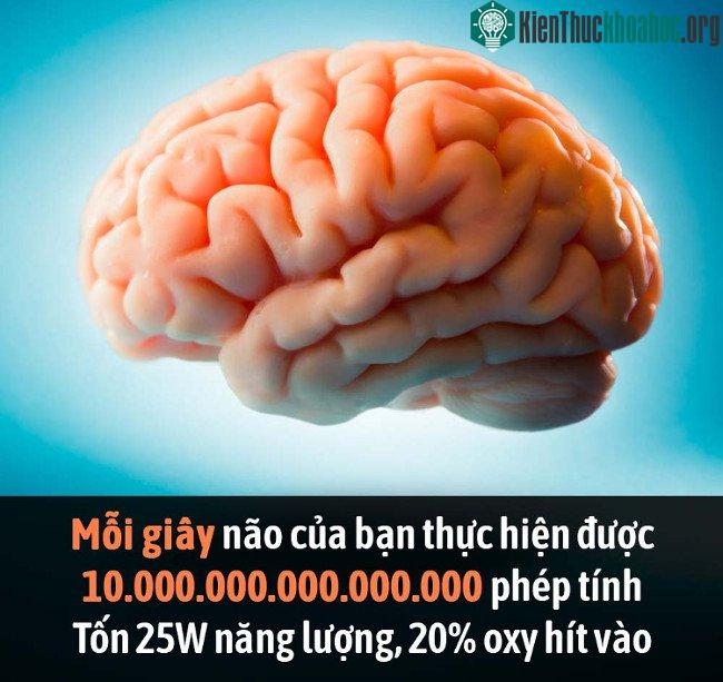 Tổng hợp những sự thật thú vị có thể bạn chưa biết! ảnh 17