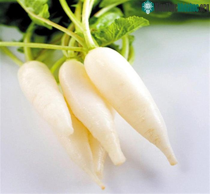 Củ cải được cho là “thần dược” để chữa chứng táo bón.