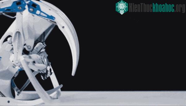Còn đây là cách robot nhện di chuyển.