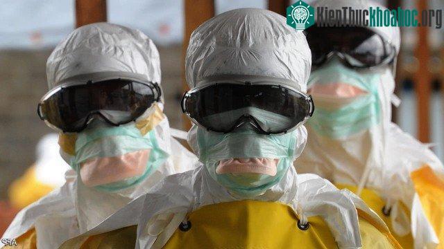 X cũng có thể là một căn bệnh lây truyền từ động vật sang người như đại dịch HIV.