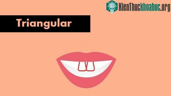 Những người sở hữu răng cửa hình tam giác là người rất quyến rũ.