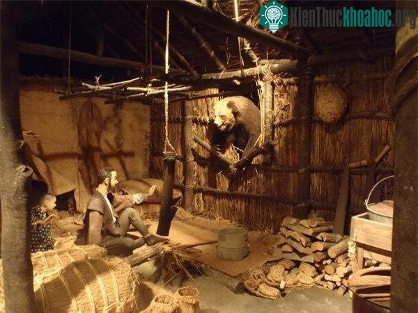 Ghê rợn những vụ động vật khát máu thảm sát con người ảnh 2