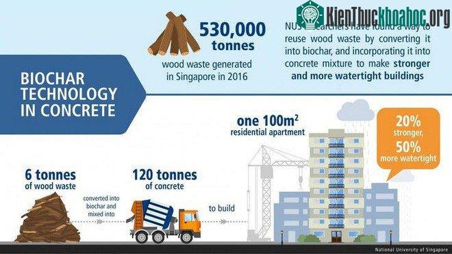 Khoảng 50kg phế liệu gỗ có thể sử dụng được cho mỗi tấn bê tông.