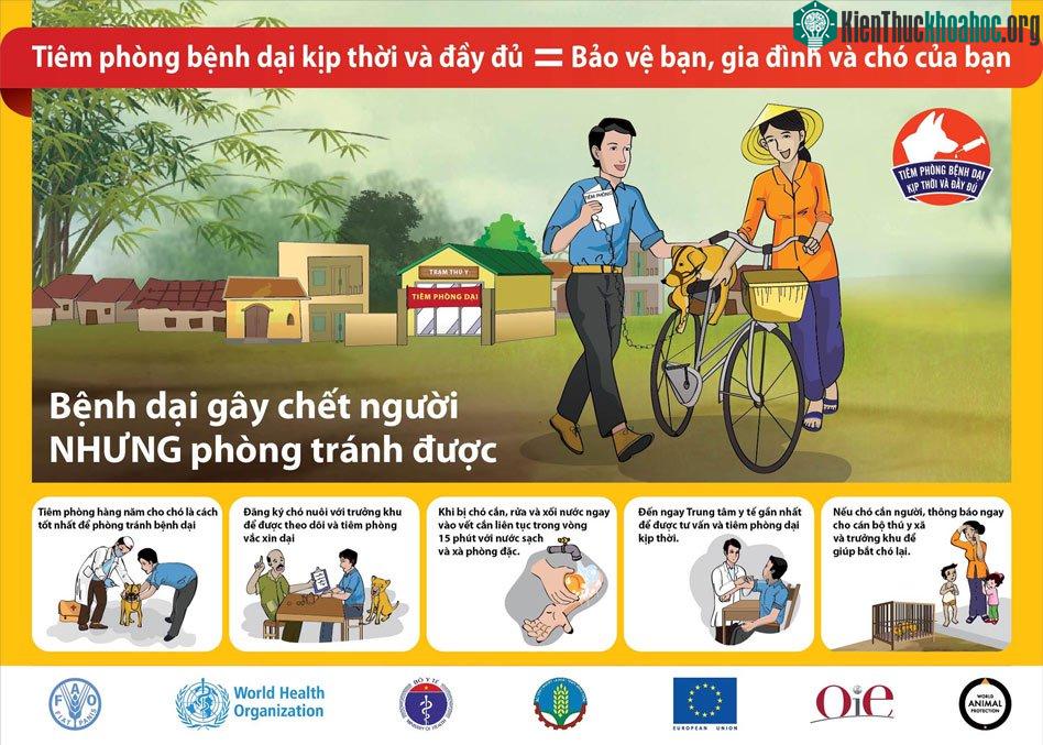 Poster tuyên truyền về bệnh dại