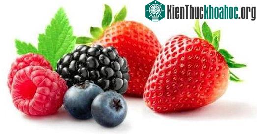 Các loại quả mọng đều có chứa hàm lượng cao các chất phytochemical giúp tăng cường khả năng miễn dịch.