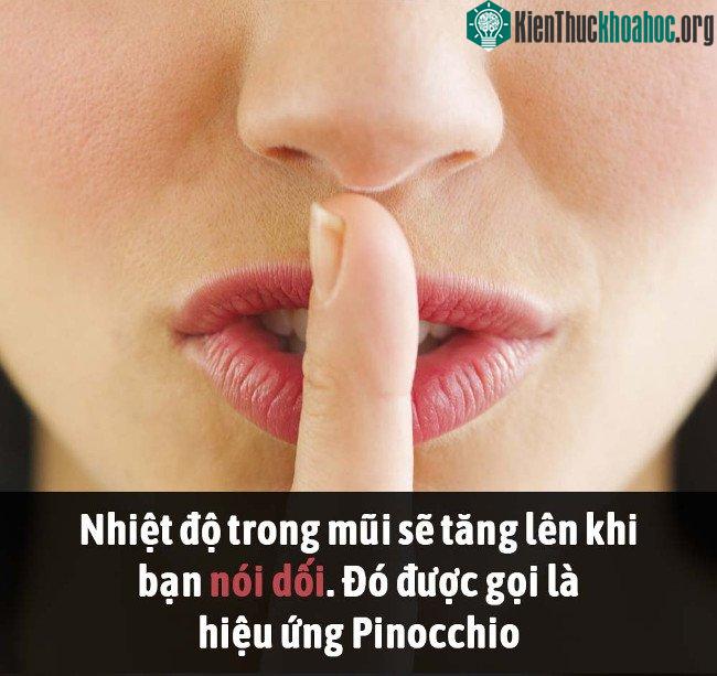 Tổng hợp những sự thật thú vị có thể bạn chưa biết! ảnh 20