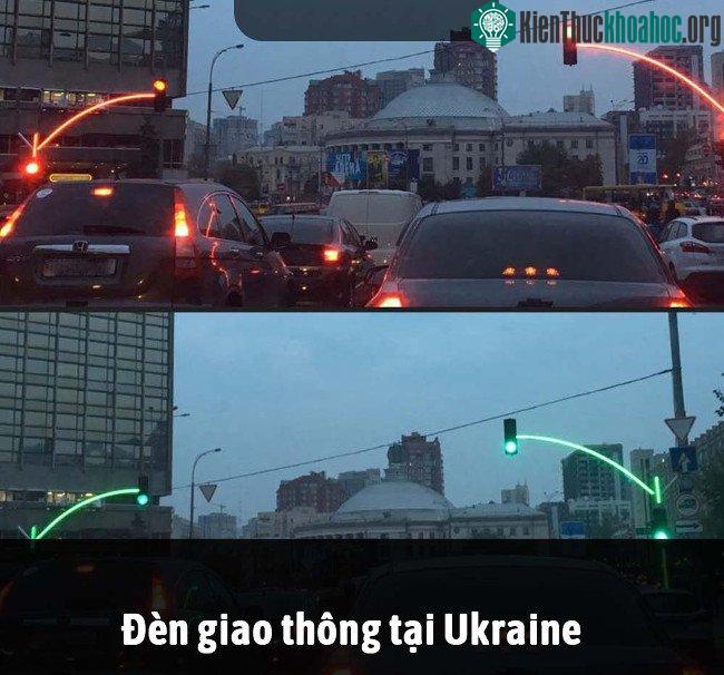 Tổng hợp những sự thật thú vị có thể bạn chưa biết! ảnh 21