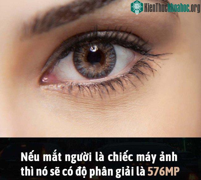 Tổng hợp những sự thật thú vị có thể bạn chưa biết! ảnh 23