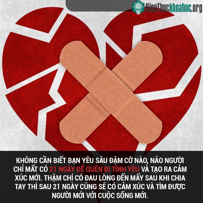Tổng hợp những sự thật thú vị có thể bạn chưa biết! ảnh 26