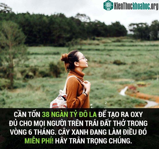 Tổng hợp những sự thật thú vị có thể bạn chưa biết! ảnh 27