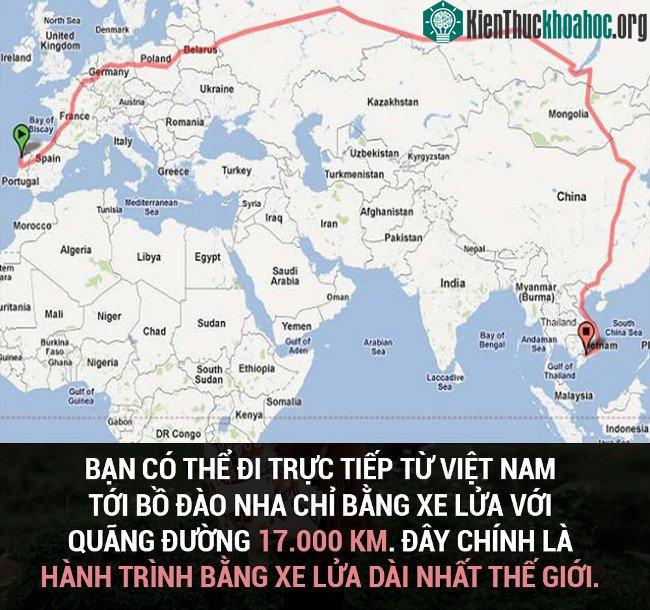 Tổng hợp những sự thật thú vị có thể bạn chưa biết! ảnh 28