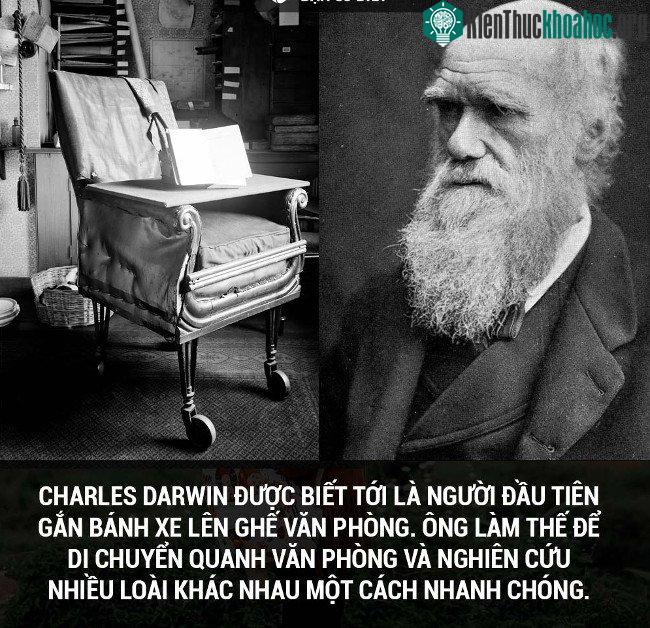 Tổng hợp những sự thật thú vị có thể bạn chưa biết! ảnh 29