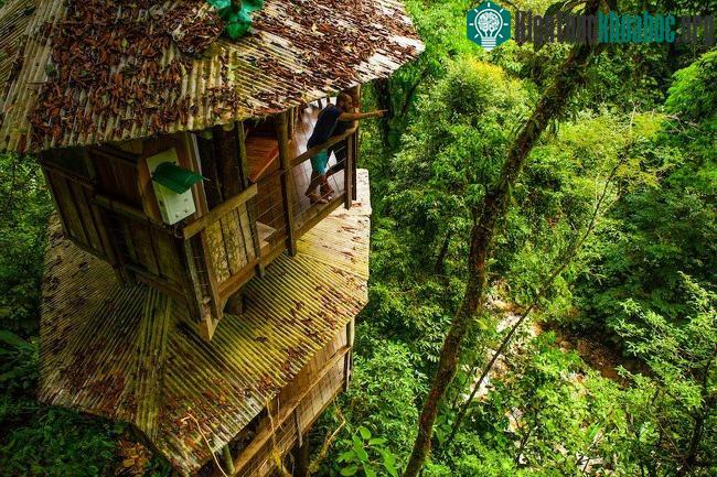 Người dân nơi đây sử dụng năng lượng Mặt trời, họ thu nước mưa, trồng hoa quả để sinh sống.