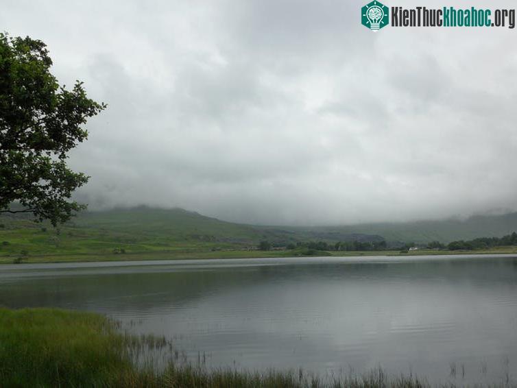 Mây Stratus mỏng, do đó, nếu trời có vẻ u ám thì có thể mưa sẽ không xảy ra.