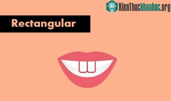 Người có răng cửa hình chữ nhật là người hạnh phúc và cũng sẵn sàng chia sẻ hạnh phúc của mình với những người khác.