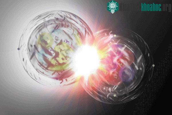 Phản vật chất cũng có màu như vật chất.
