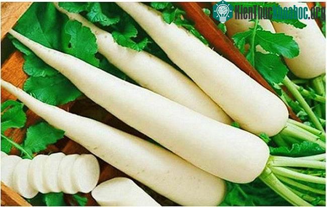 Vỏ củ cải chứa độc tố furocoumarins.