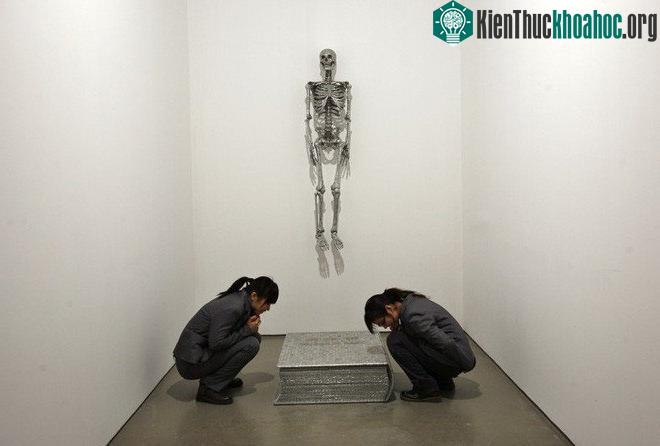 …và cả ở một bảo tàng như thế này.