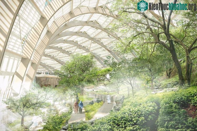 Khu phức hợp này còn có thêm không gian cho cơ sở giáo dục và nghiên cứu về bảo tồn sự đa dạng sinh học của khu vực.