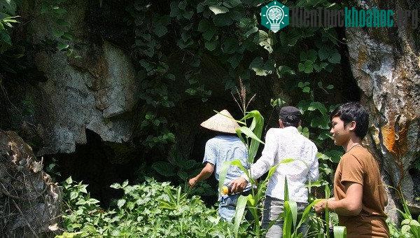 Rợn người cảnh vào hang đá khổng lồ, nơi ẩn mình của bầy trăn ở Sơn La ảnh 3