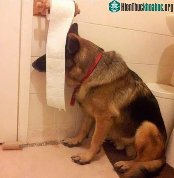Người hãy quên em đi!