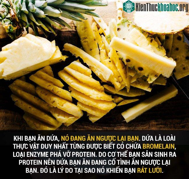 Tổng hợp những sự thật thú vị có thể bạn chưa biết! ảnh 32
