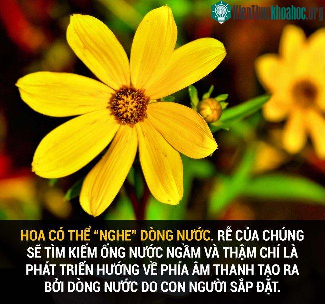 Tổng hợp những sự thật thú vị có thể bạn chưa biết! ảnh 33