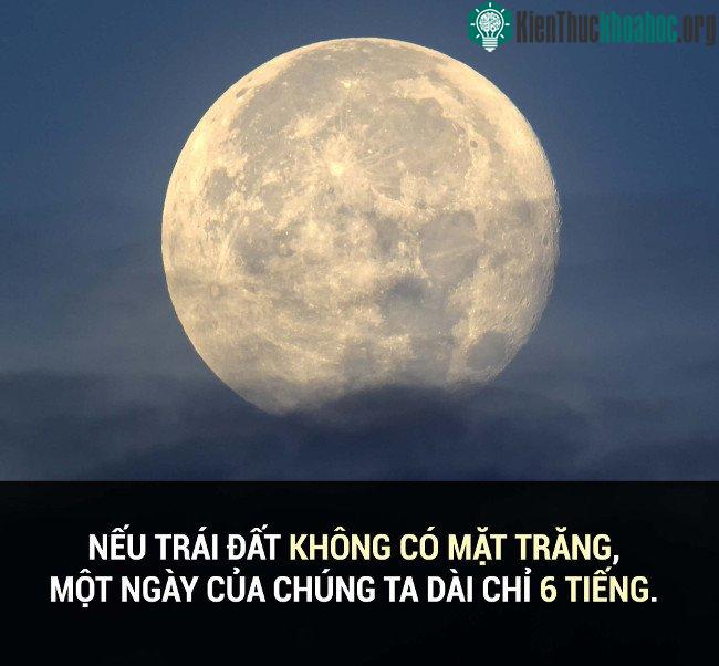 Tổng hợp những sự thật thú vị có thể bạn chưa biết! ảnh 35