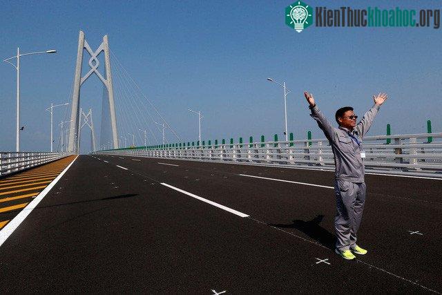 Cây cầu sẽ có 6 làn đường và 4 làn hầm chui, trong đó có 1 làn hầm chui xuyên biển.